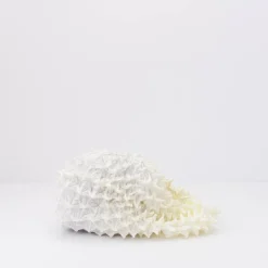 Mujer BUNZABURO Bolsos-BOLSO - - MINI-MINI PETIT BAG WHITE