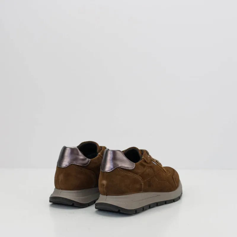 Mujer IGIu0026CO Zapatillas Deportivas-DEPORTIVO - IGI&CO - DONNA SCAM GORE-TEX SUPER 10/12 COGNAC