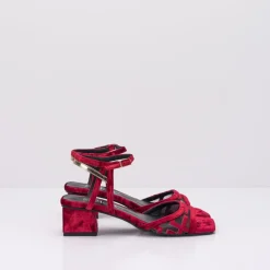 Mujer SEIALE Sandalias-SANDALIA - - AMORA