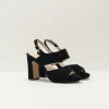Mujer SEIALE Sandalias-SANDALIA - - COMPOR