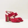 Mujer SEIALE Sandalias-SANDALIA - - COMPOR