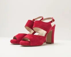 Mujer SEIALE Sandalias-SANDALIA - - COMPOR