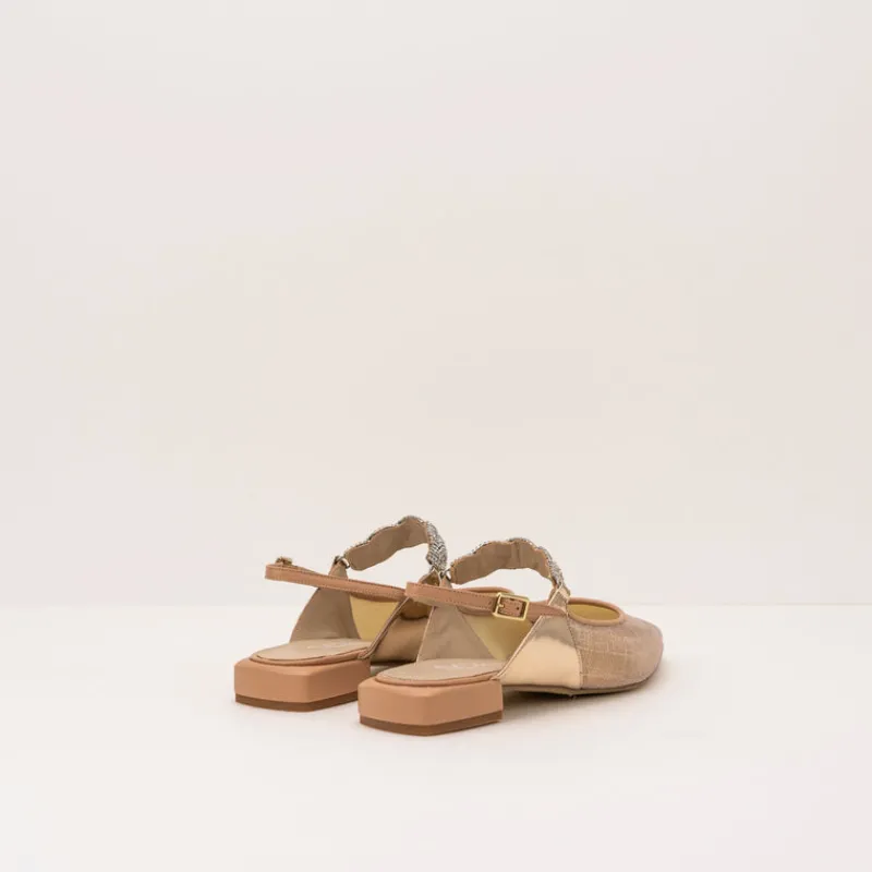 Mujer SEIALE Zapatos-ZAPATO - - HOXE
