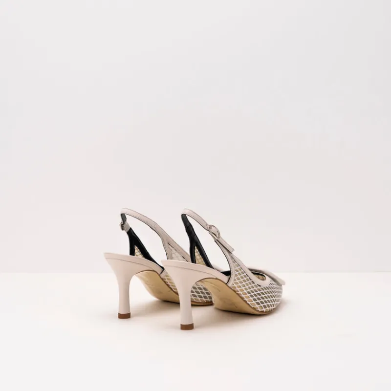 Mujer SEIALE Zapatos-ZAPATO - - SEQUIA